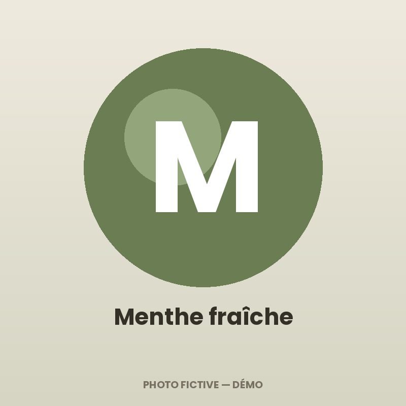 Menthe fraîche