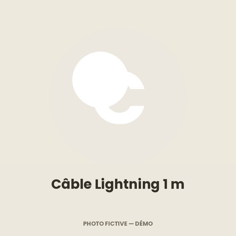 Câble Lightning 1 m