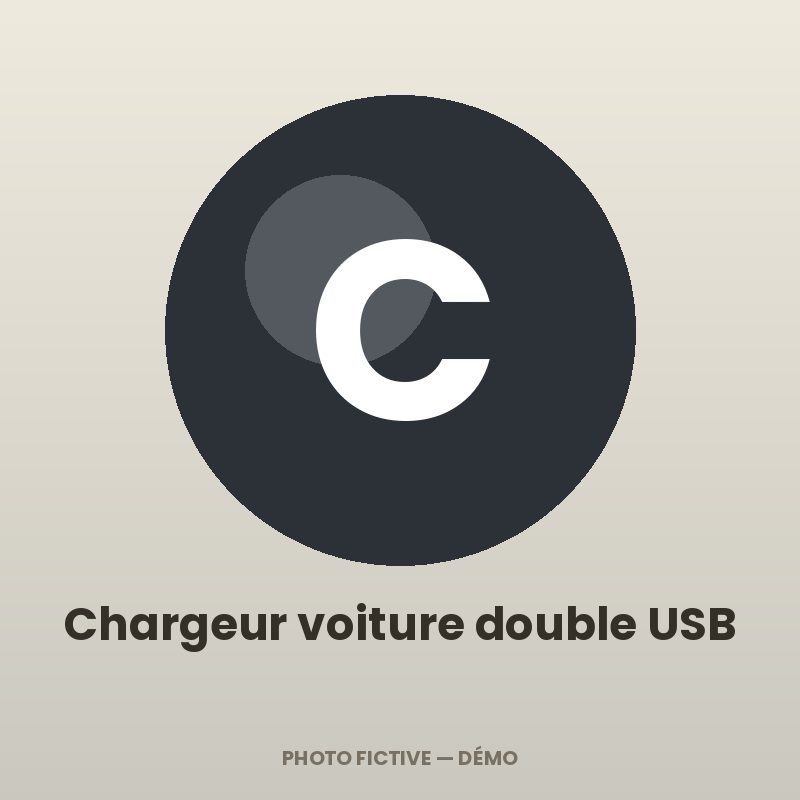 Chargeur voiture double USB