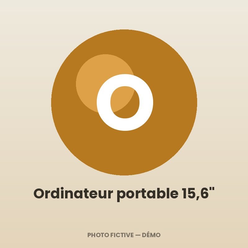Ordinateur portable 15,6"