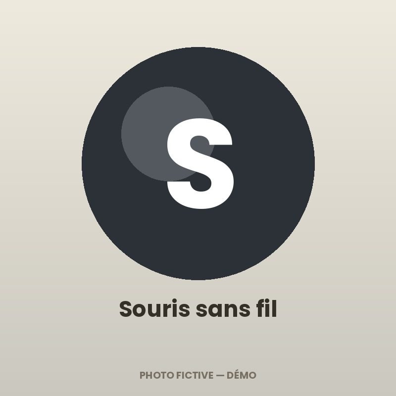 Souris sans fil