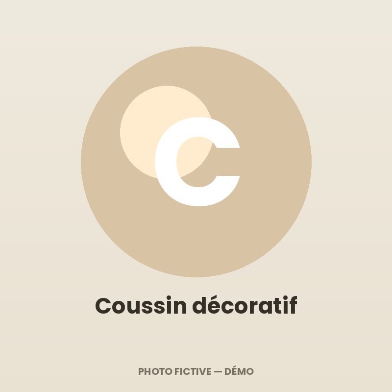 Coussin décoratif